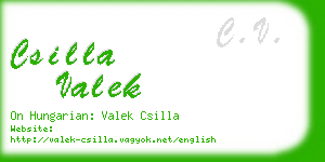 csilla valek business card